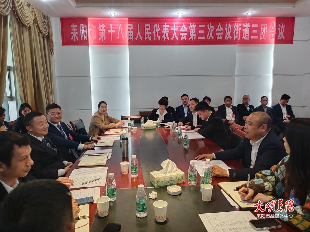 市人大代表分组审议政府工作报告、审查计划报告和草案、预算报告和草案