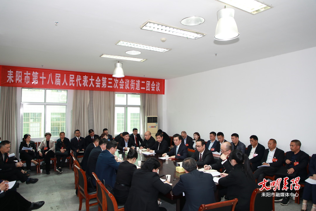 赖馨正参加街道二团分组讨论