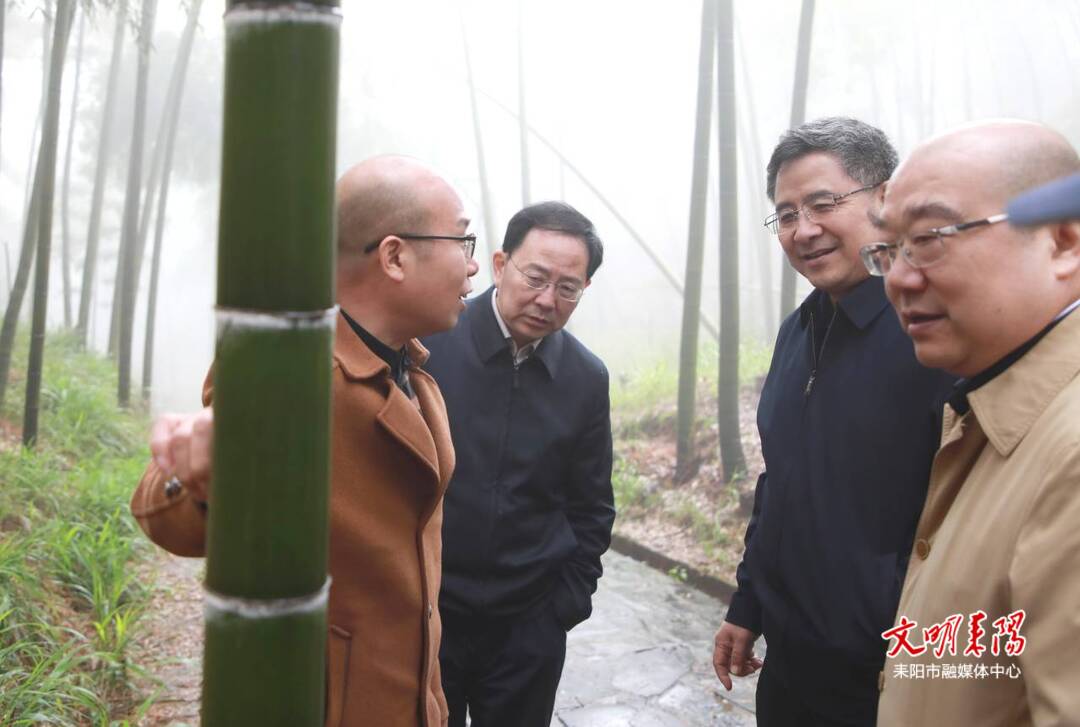国家林草局来耒阳调研国土绿化相关工作