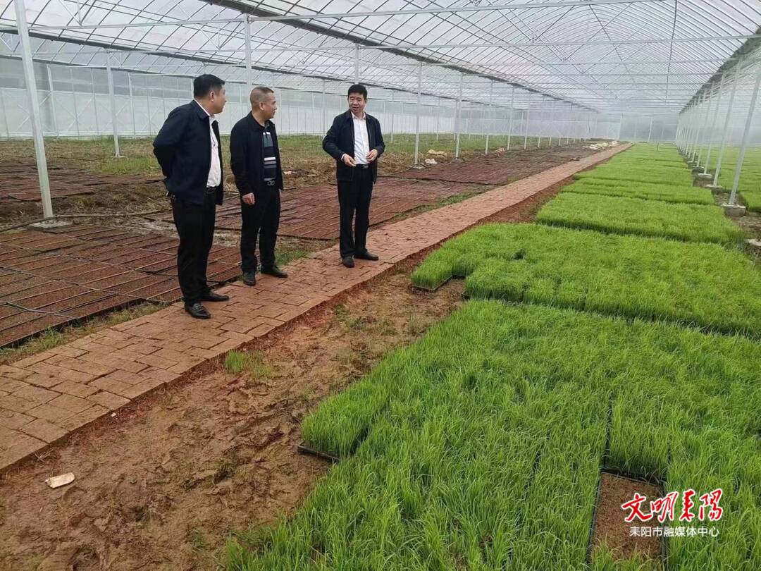 李兴武到仁义镇督导春耕生产、环境整治等工作