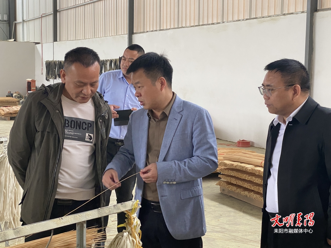 王子菲调研市场主体培育、企业发展及“湘商回归”工作