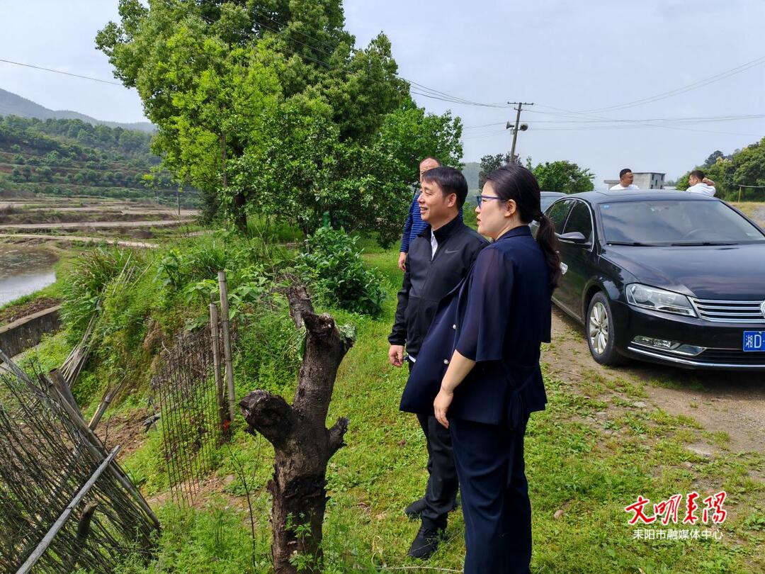 李云调研督导南阳镇春耕生产、煤矿安全生产等工作