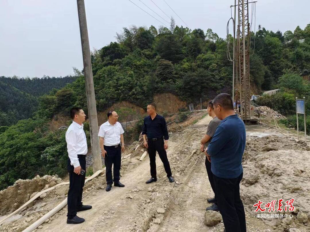 李连飞到导子镇调研指导工作