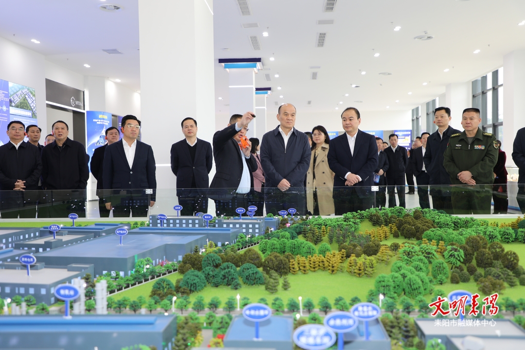 衡阳市2023年一季度经济形势分析暨重大项目现场观摩会到耒阳实地观摩