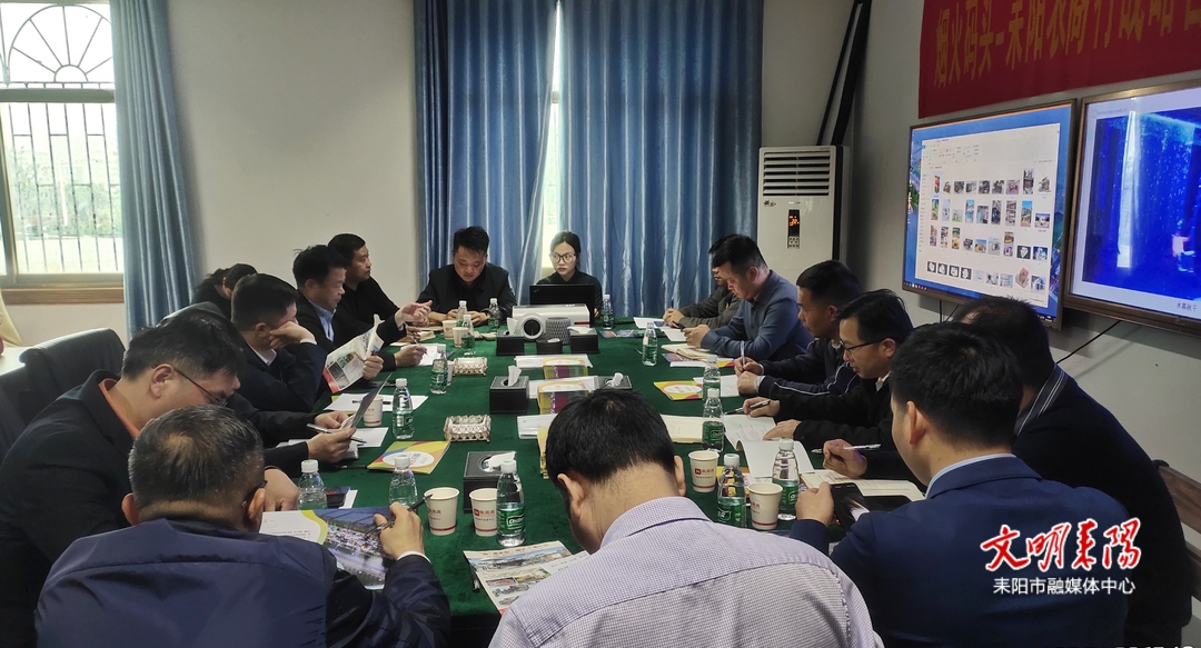 市领导现场办公推动“厢遇耒阳·码头烟火”项目顺利推进