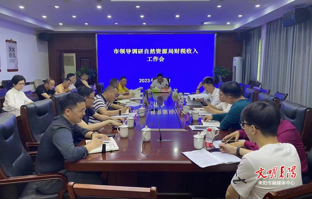 耒阳市召开自然资源领域财税收入专题调度会