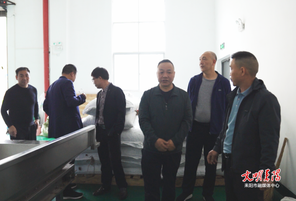陆冬生调研辣椒产业发展情况