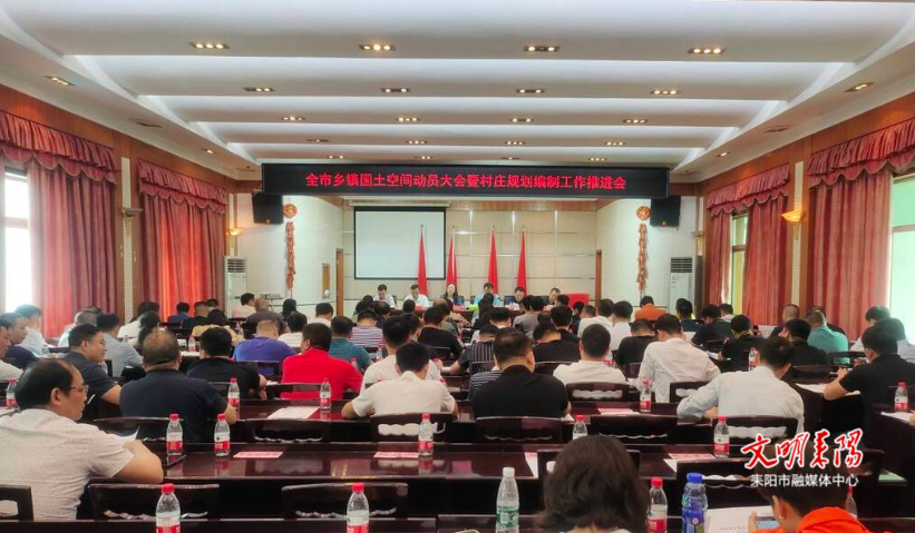 耒阳：确保按时保质完成乡镇国土空间和村庄规划编制工作