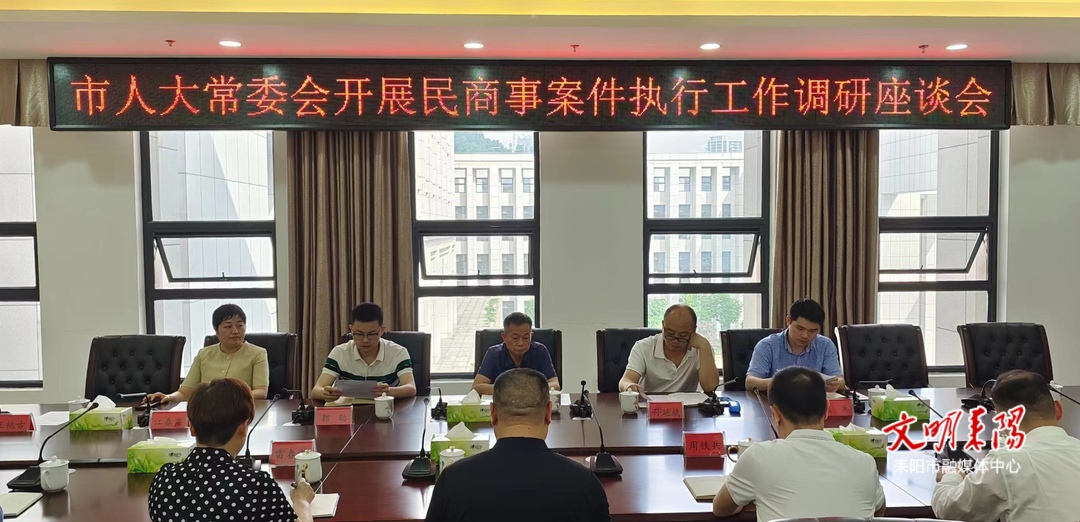 耒阳市人大常委会开展民商事案件执行工作调研