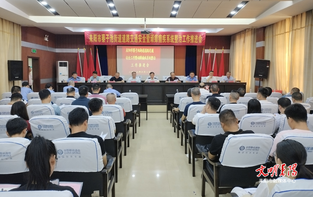 蔡子池街道：持续发力 确保顽瘴痼疾整治取得实效