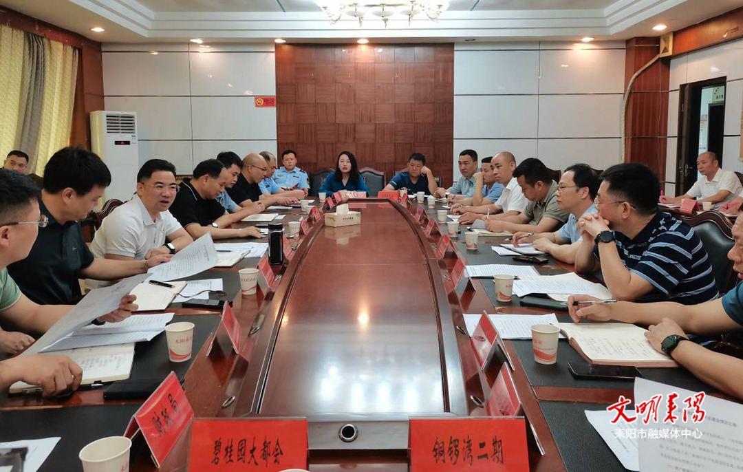 武广片区开发建设专题调度会召开