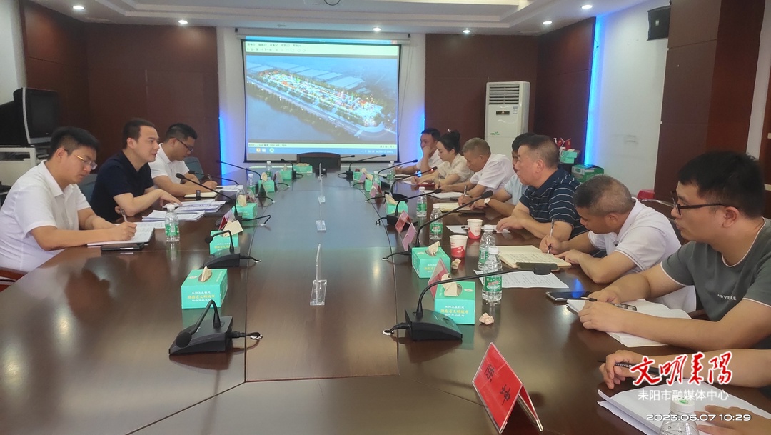 耒阳市召开“厢遇耒阳•码头烟火”项目文化风格定位座谈会