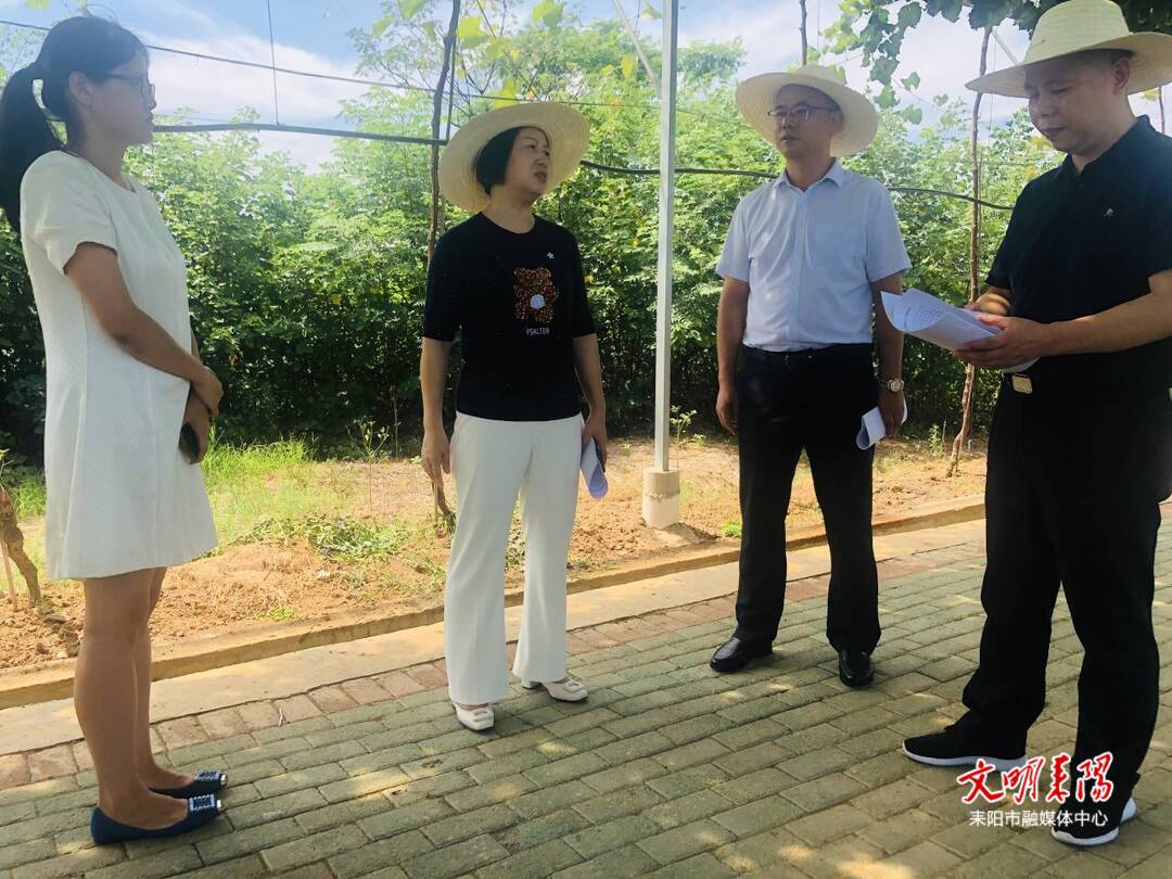 衡阳市政协来耒调研乡村振兴人才队伍建设工作