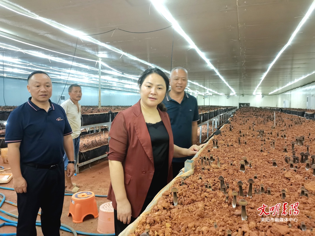黄艳娥带队来耒调研“千万工程”示范村创建工作