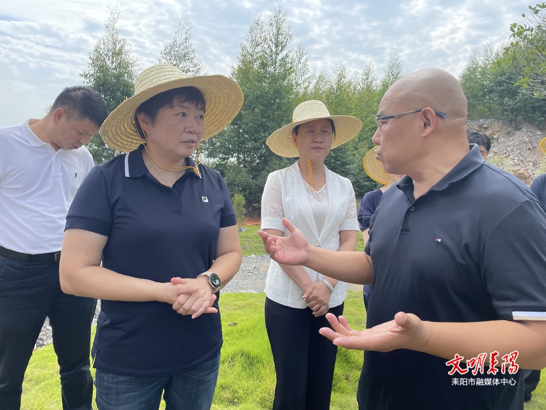 张皓来耒调研砂石土矿生态修复治理等工作