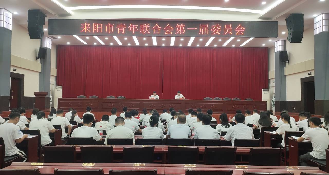 耒阳市青年联合会成立