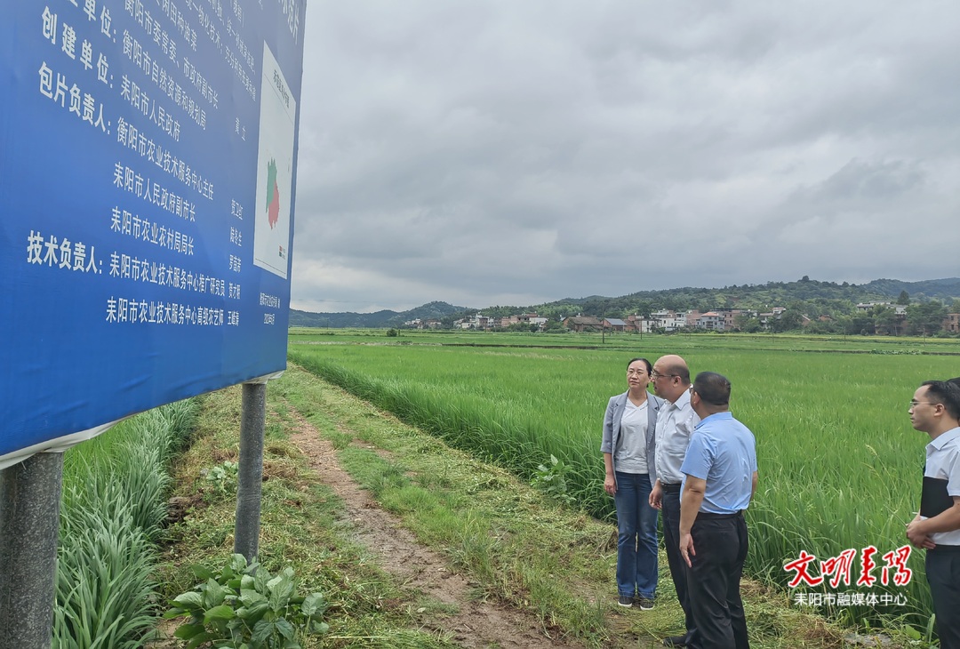 黄立来我市调研指导高标准农田建设、“保交楼”项目建设及安全生产工作