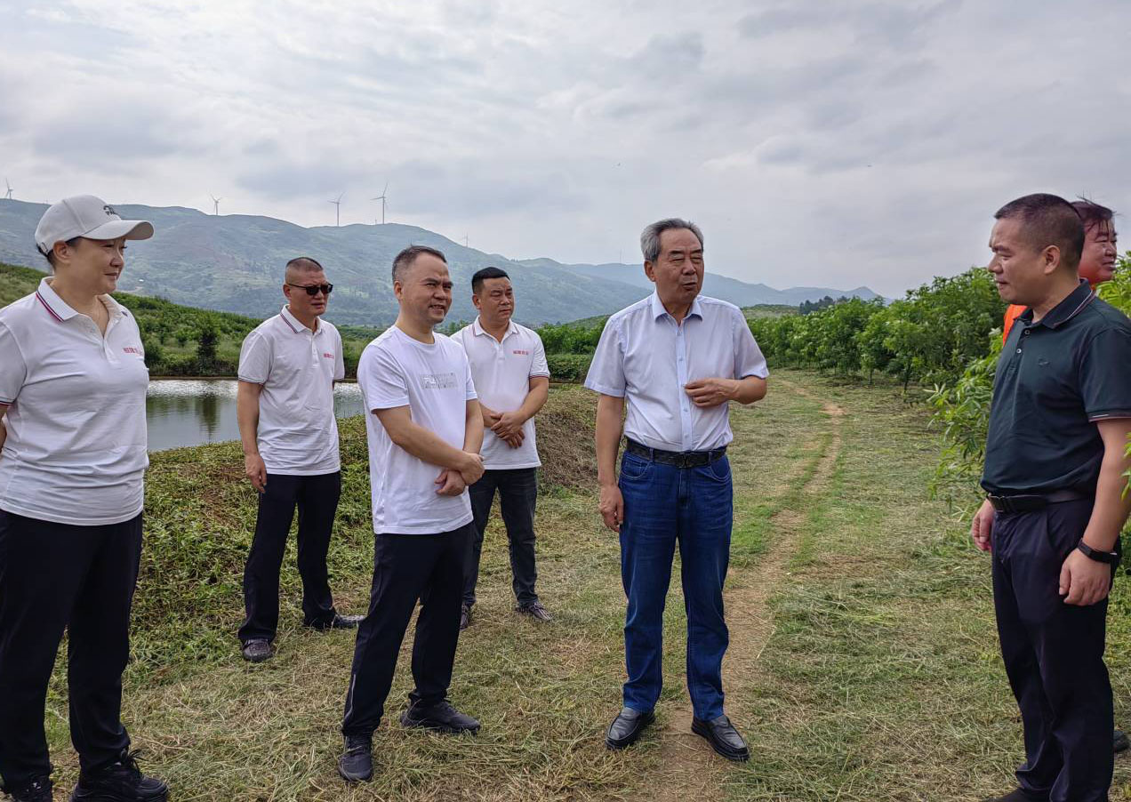 中国经济林协会来耒考察调研花椒产业