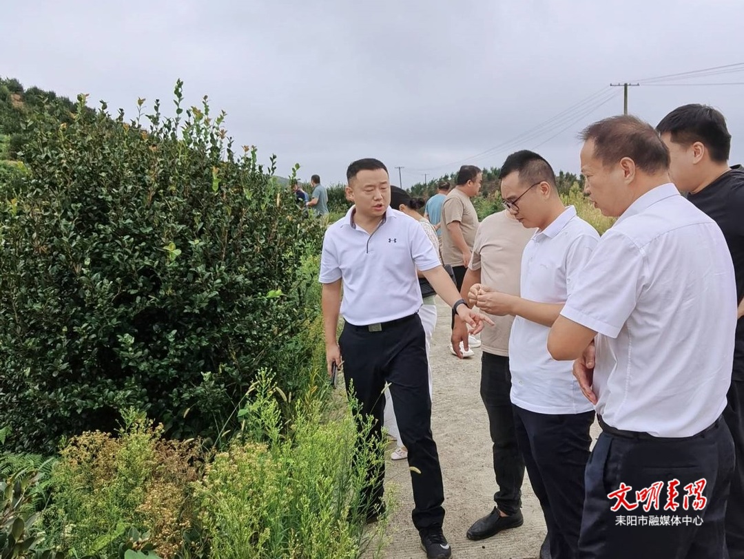 科技专家服务团送技术下乡 助力油茶产业发展