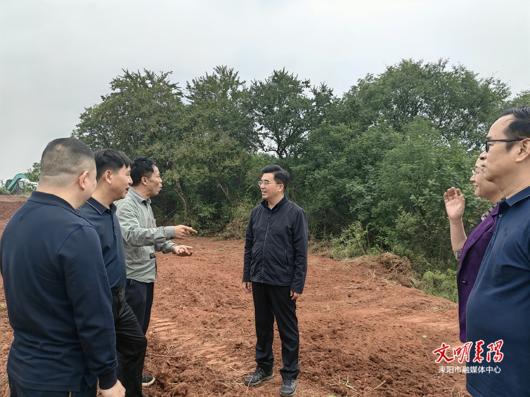 赖馨正到乡镇巡田并督导耕地保护等工作
