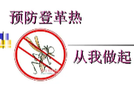 登革热进入高发流行季，耒阳市疾控中心发布提醒