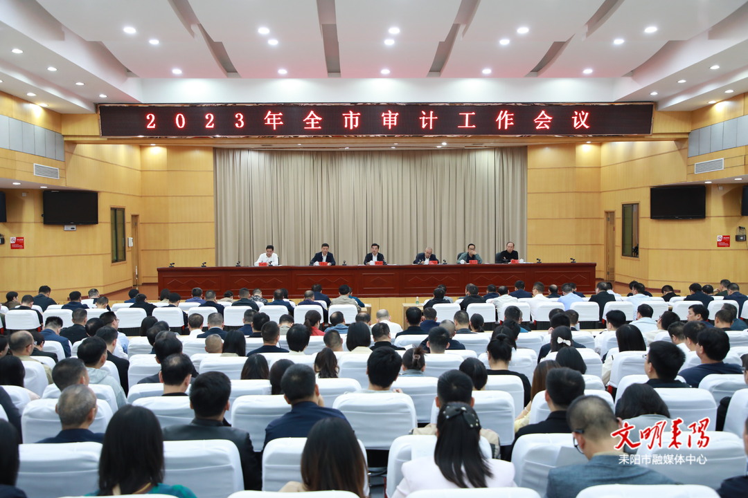 耒阳市审计工作会议召开