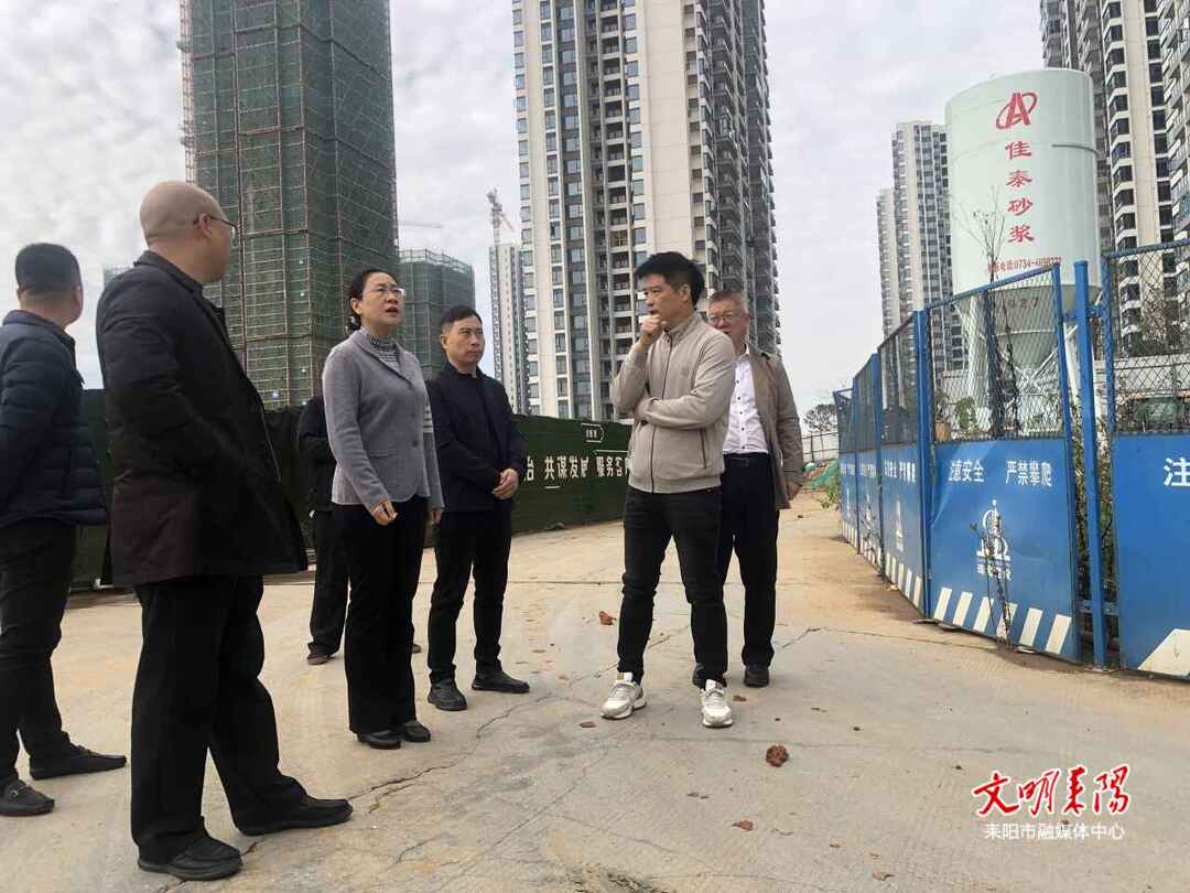 谢东平调研“保交楼”项目建设工作