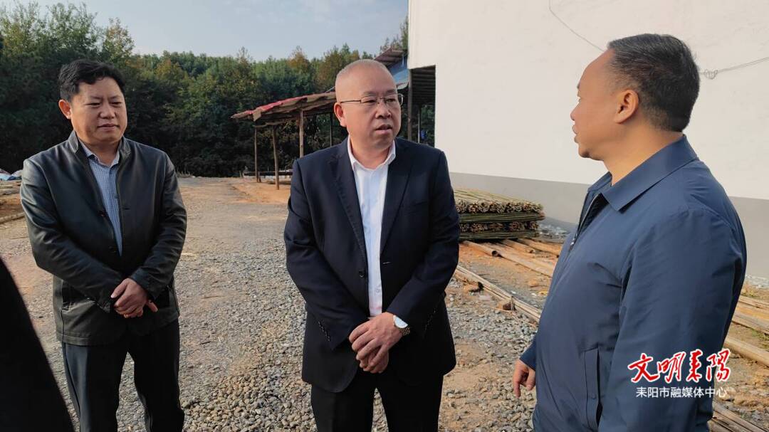 尹立鑫督导自然资源督察问题整改及“三灰一白”行动等工作