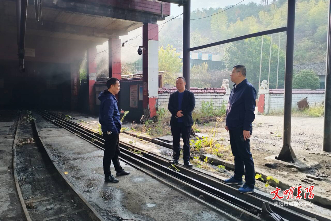 陆冬生督导乡镇重点工作