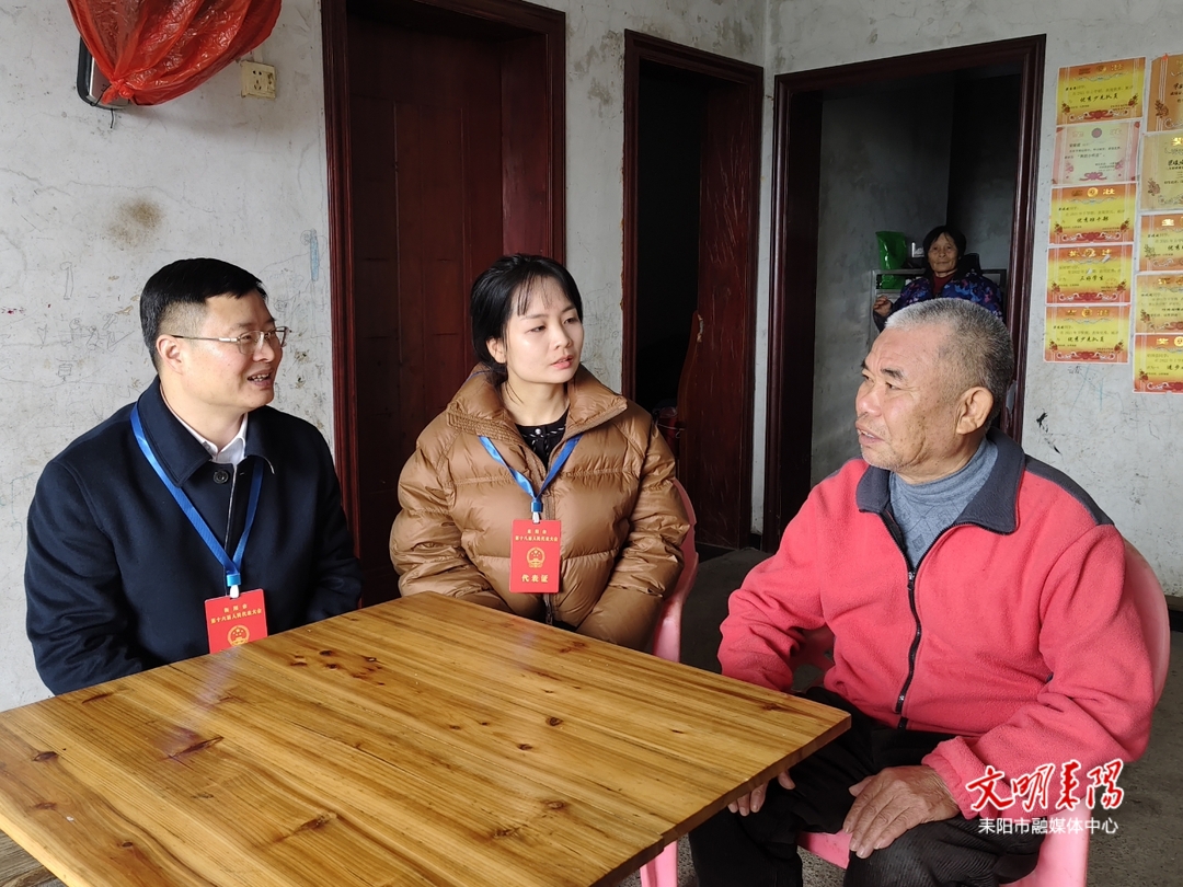 市人大组织三级代表开展“亮身份、担使命，送温暖、过大年”活动