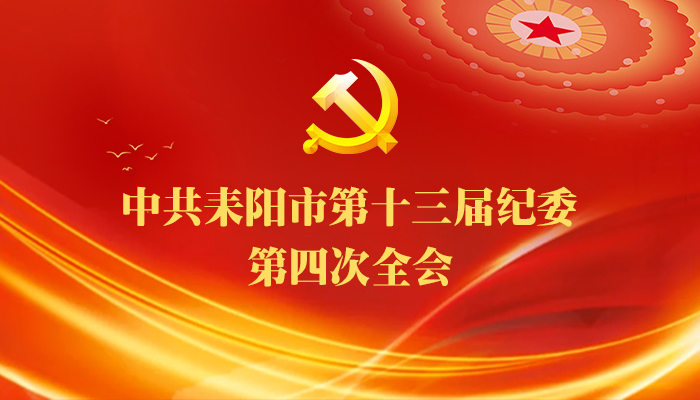 图解耒阳市十三届纪委四次全会公报