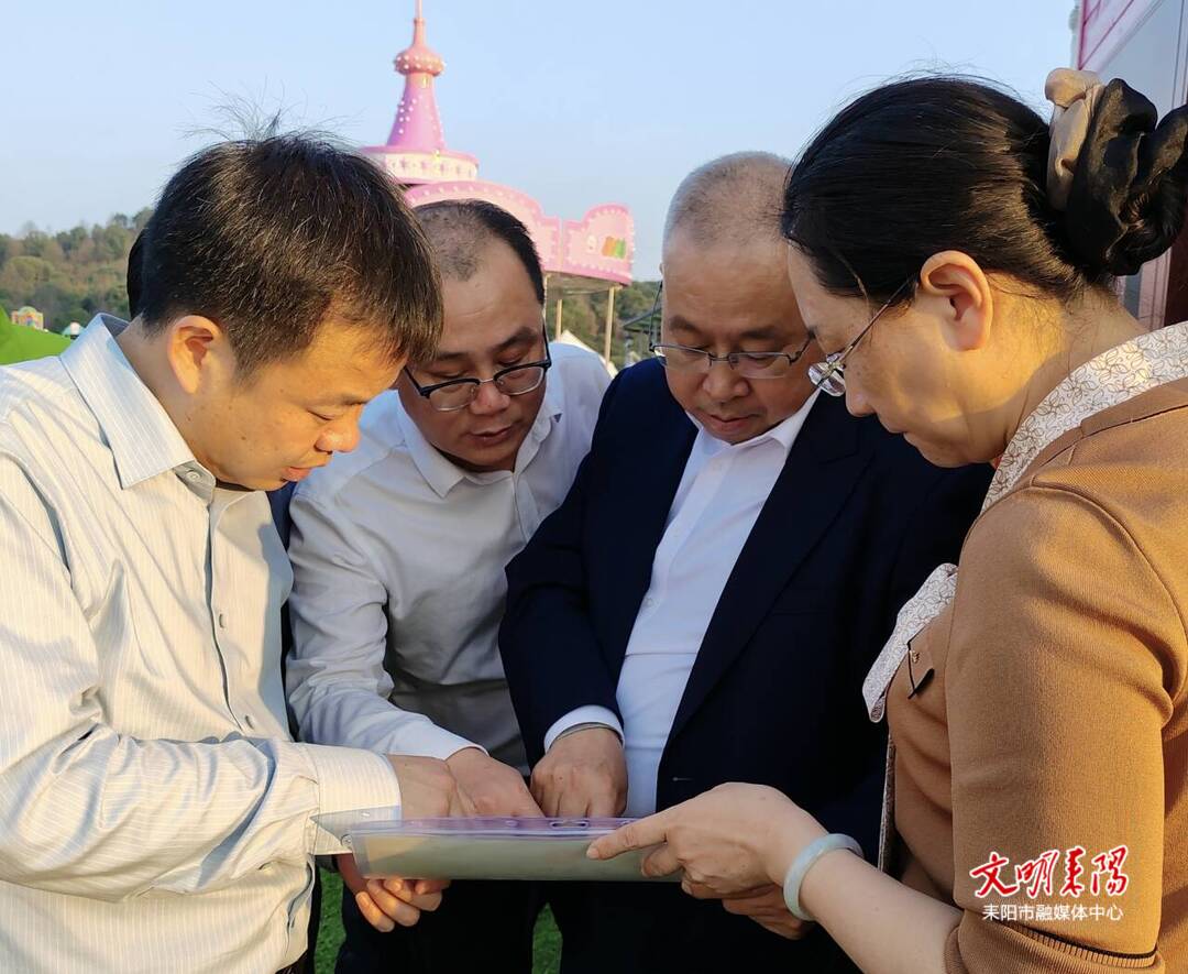 尹立鑫督导城区黑臭水体和污水直排问题整治工作