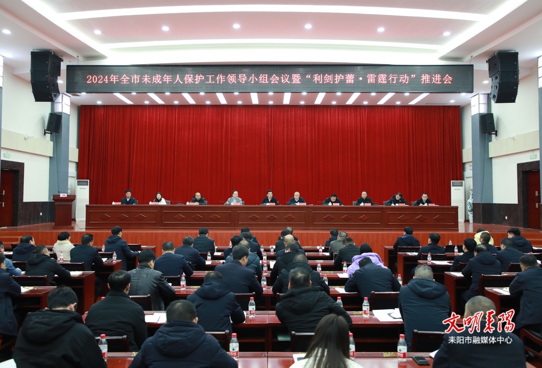 2024年耒阳市未成年人保护工作领导小组会议暨“利剑护蕾•雷霆行动”推进会召开