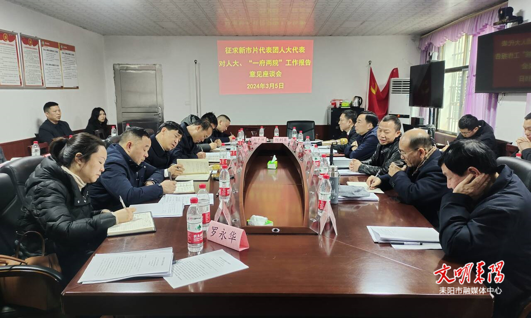 秦玉林就市人大、“一府两院”工作报告征求新市片代表团意见和建议