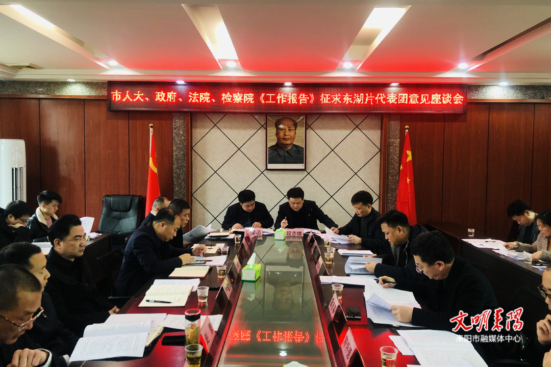 市领导就人大、“一府两院”工作报告征求东湖片代表团意见