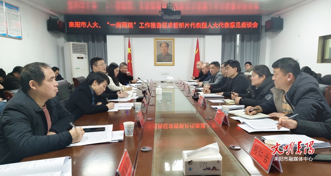 龚志桂就市人大、“一府两院”工作报告征求哲桥片代表团意见和建议