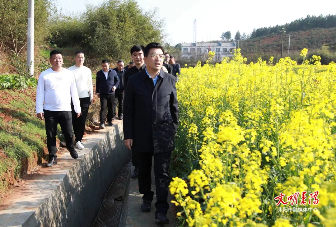 赖馨正到哲桥镇调研春耕生产、“三灰一白”、基层党建等工作