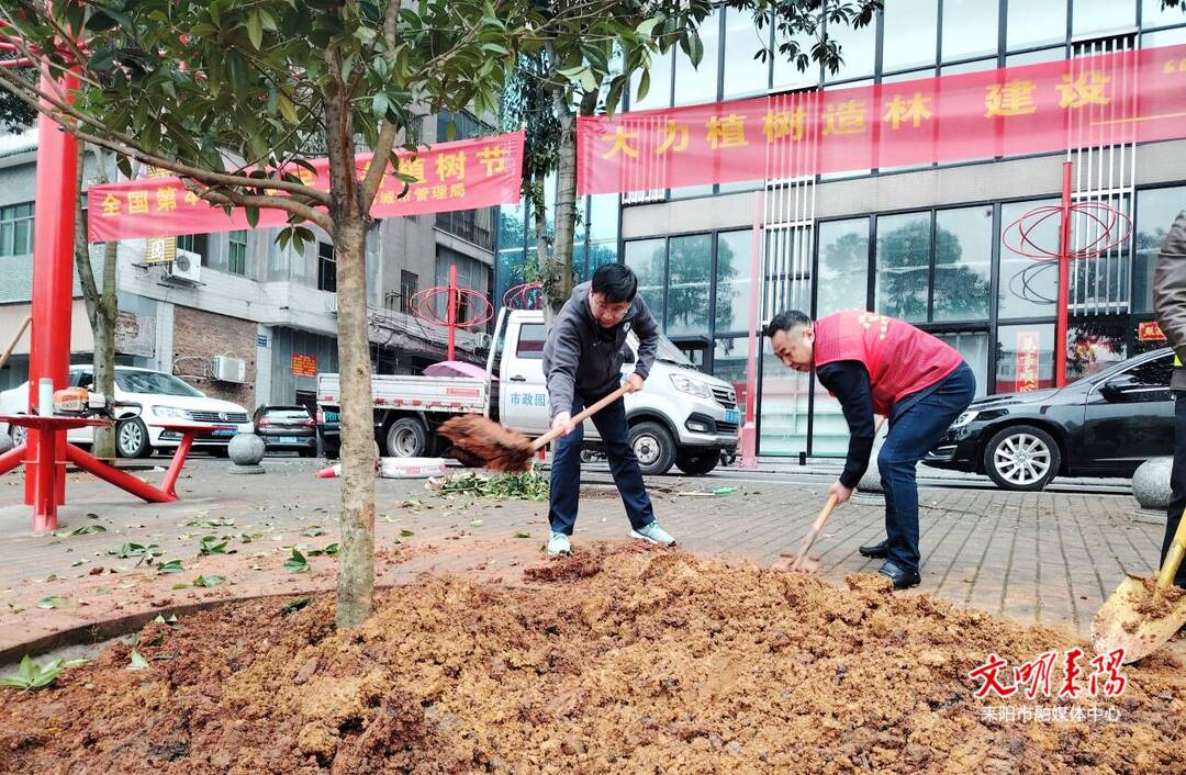 不负春光 “植”此青绿 曾铁铮参加义务植树活动