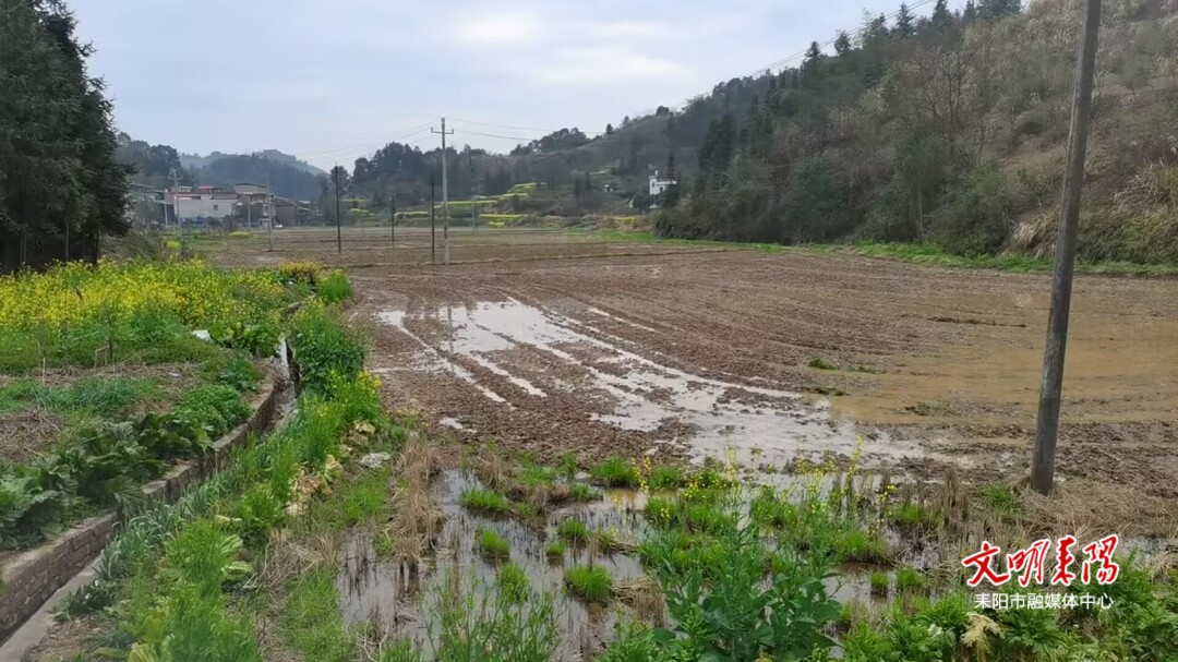 人勤春来早 夏塘镇：抢抓好农时 春耕备耕忙