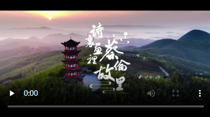 蔡伦故里·2024年耒阳红色半程马拉松赛宣传片