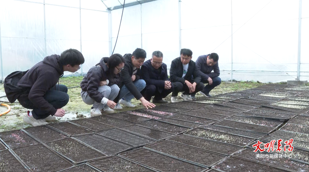 “田间课堂”助力春耕备耕