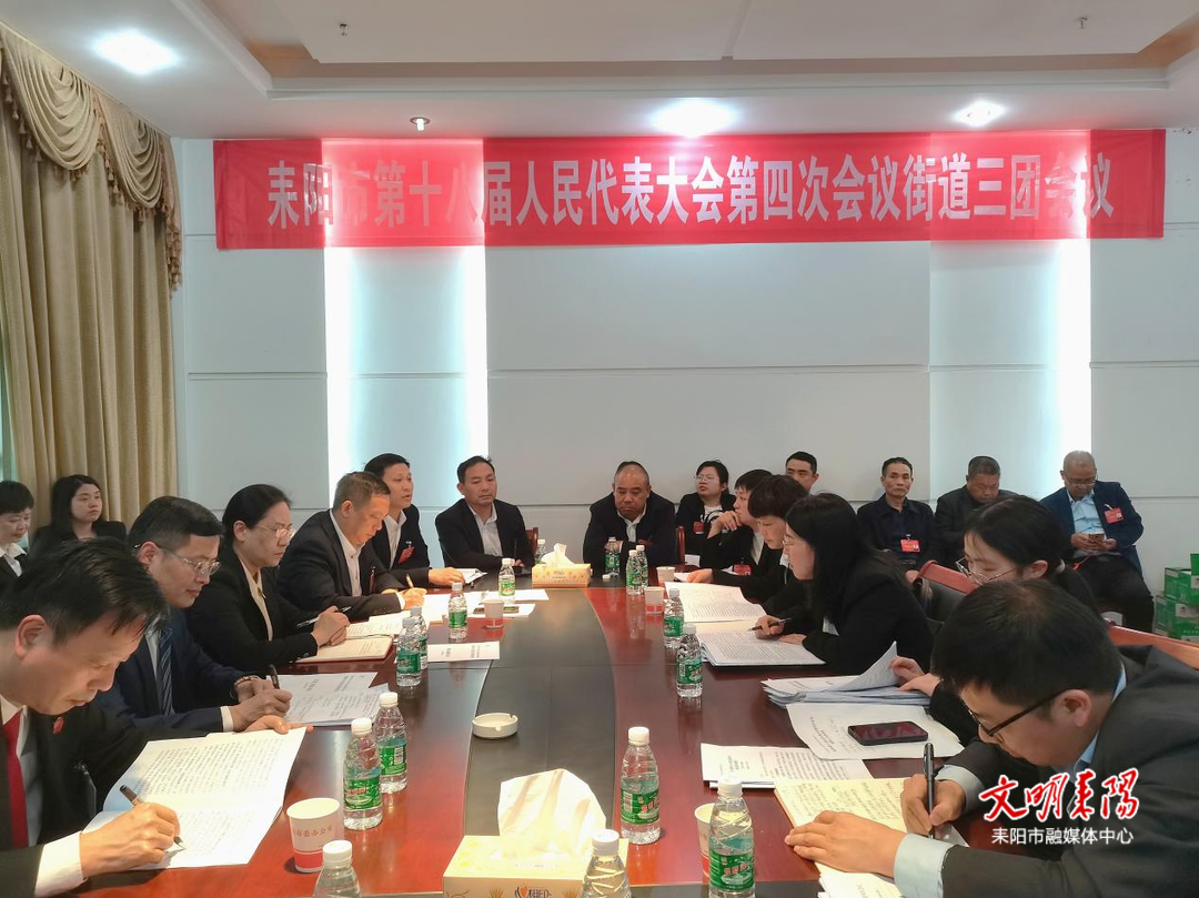 市人大代表分组讨论政府工作报告