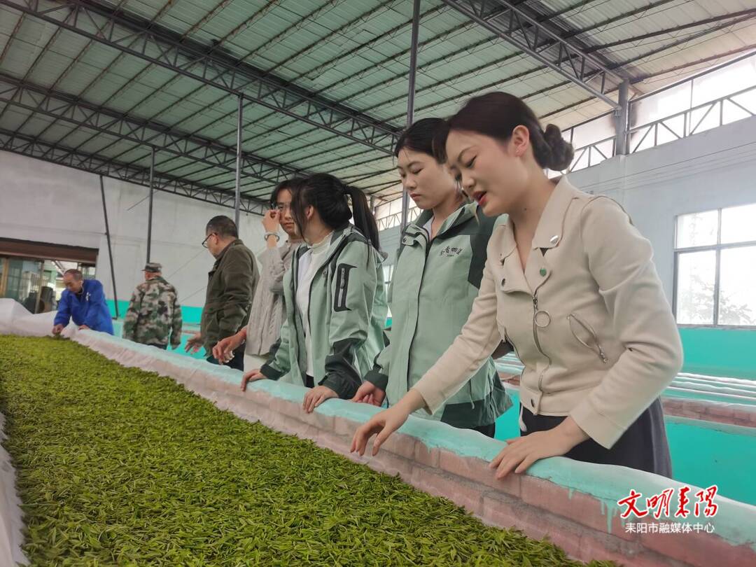 湖南农业大学园艺学院到龙塘镇开展实践调研活动