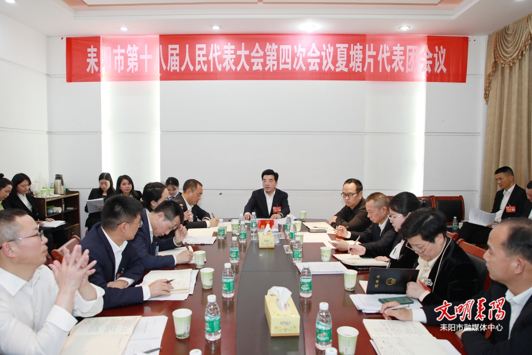 赖馨正参加耒阳市夏塘片代表团分组讨论