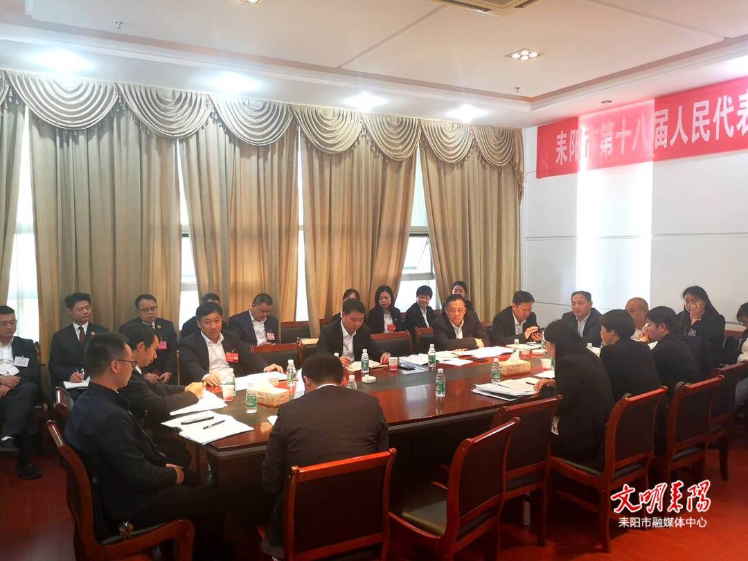 人大代表分组审议市人大及“两院”工作报告
