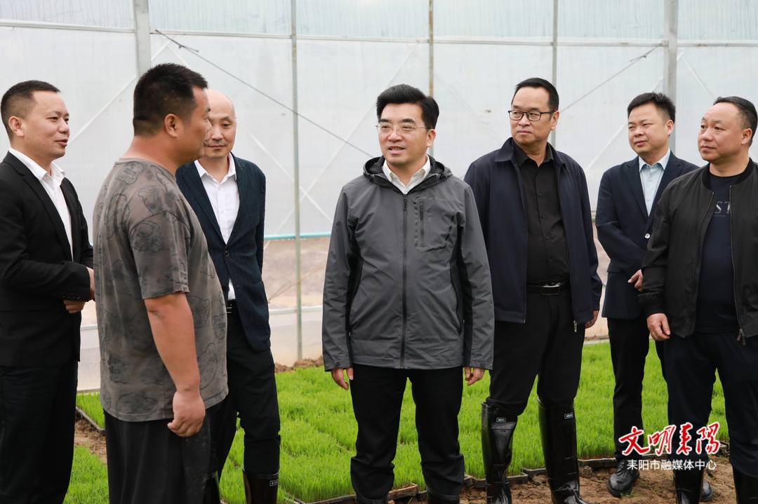 赖馨正到乡镇调研春耕生产和红色遗址保护等工作