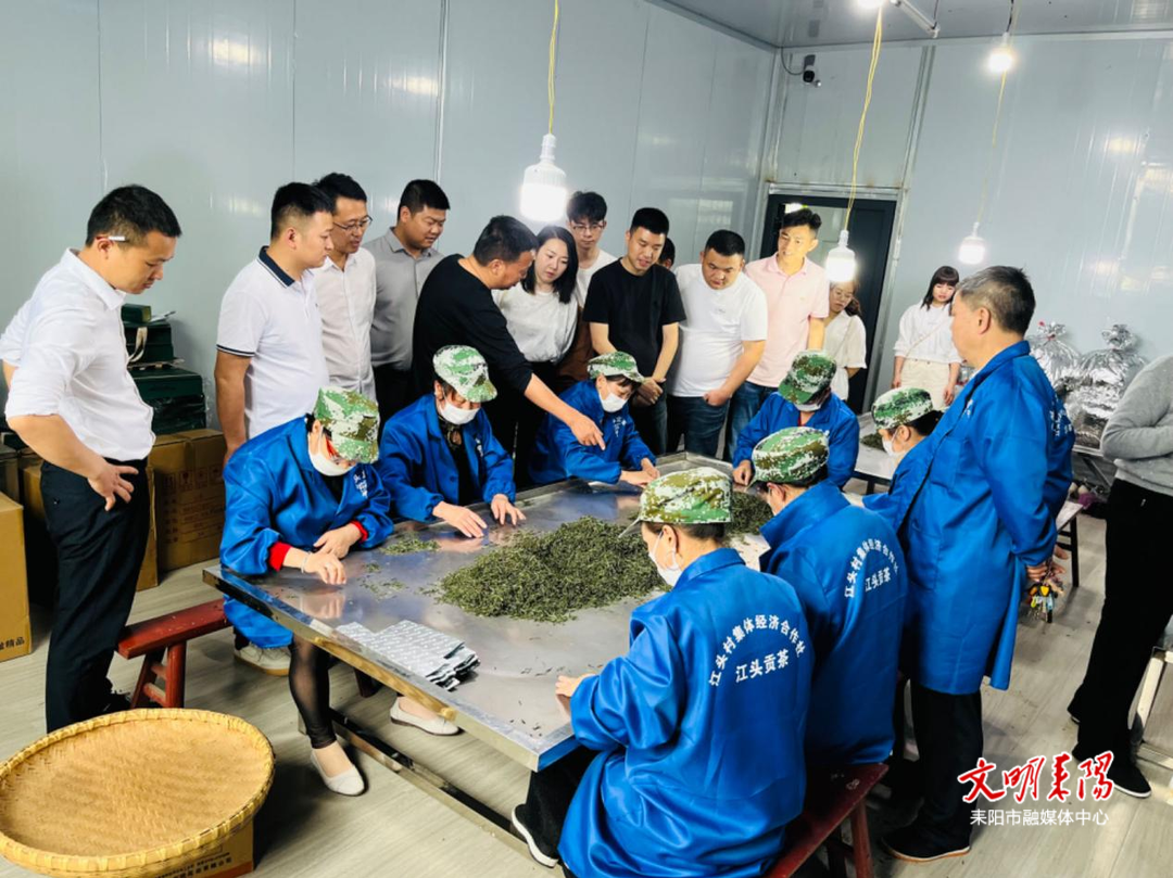 导子镇到龙塘镇学习乡村振兴经验