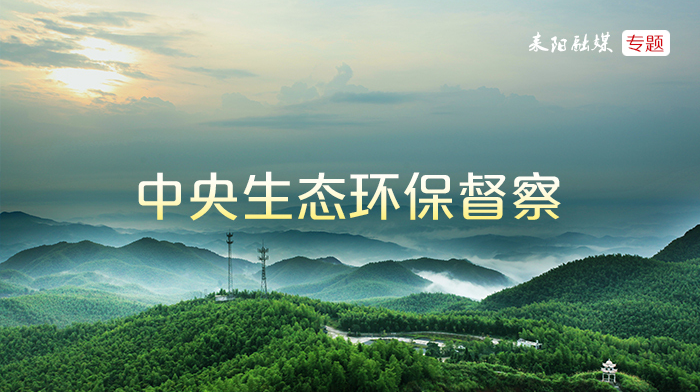 中央环保督察