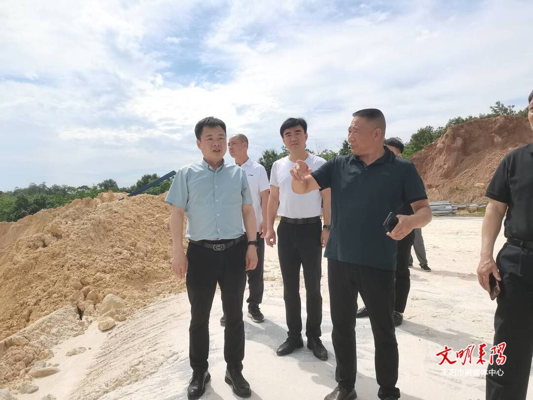 市领导督导生态环境问题整改工作