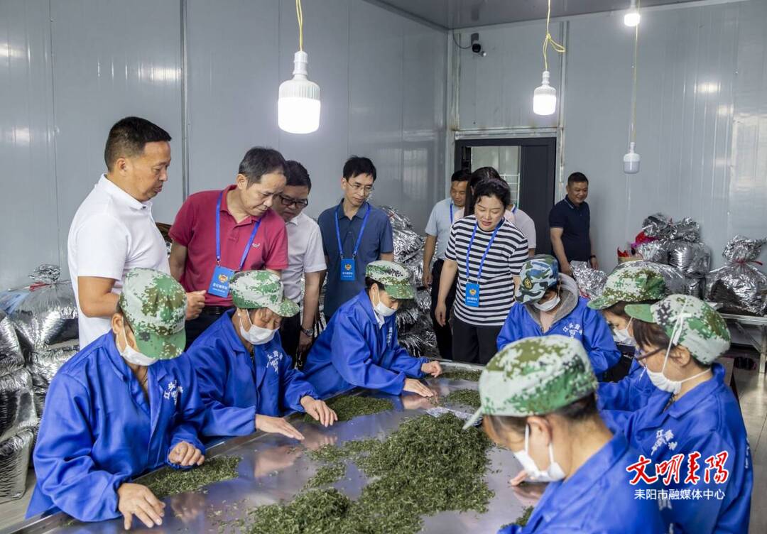 耒阳市政协开展“做优‘衡有味道’美食品牌，打造‘衡有印象’特色乡镇”专题调研